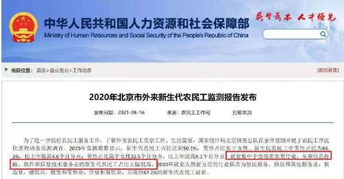 北京軟件信息服務業新生代農民工占比提升 人才結構新動態背后的機遇與挑戰